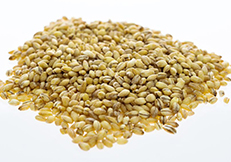 CE-SYJW双轴桨叶混合机为饲料混合机中的高端？